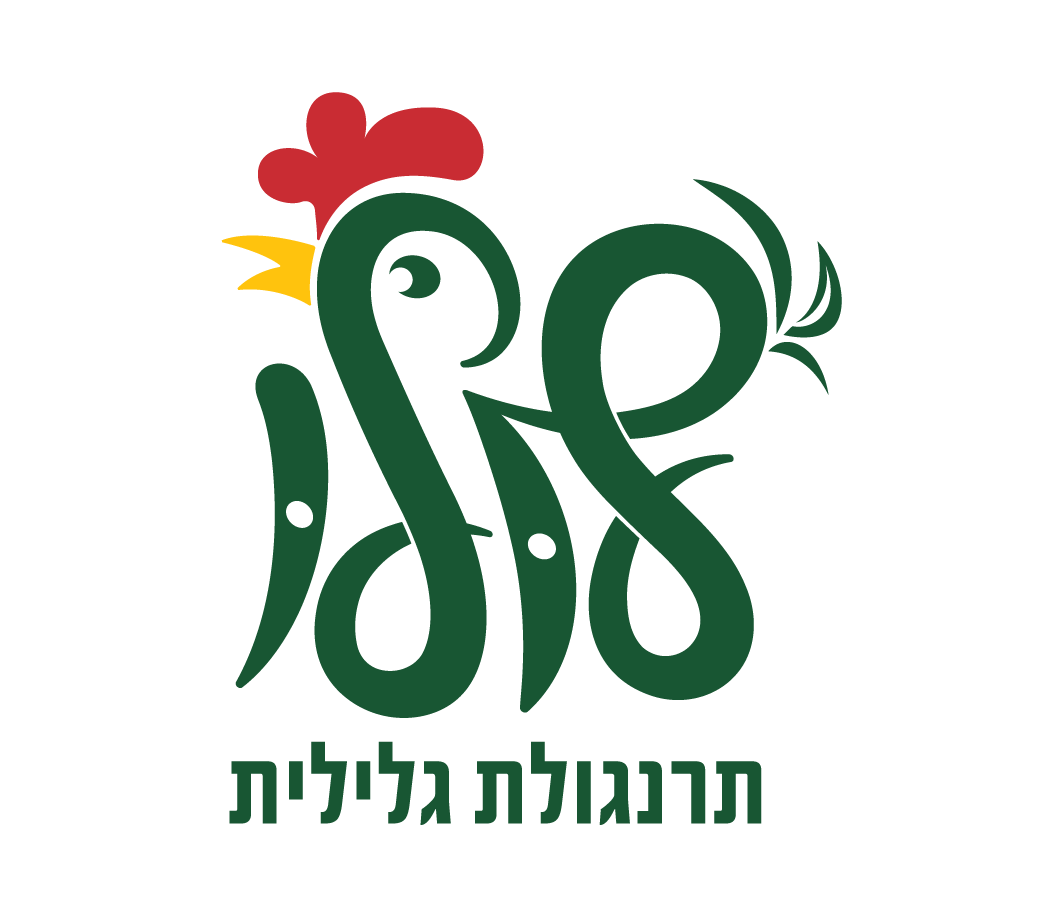 לוגו 3