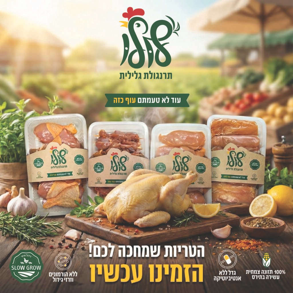 מודעה לסושיאל — לולו – תרנגולת גלילית